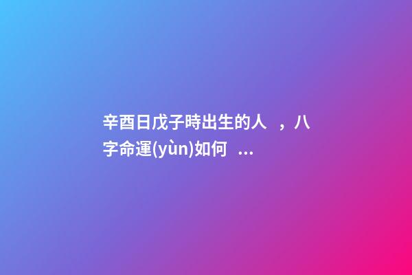 辛酉日戊子時出生的人，八字命運(yùn)如何？